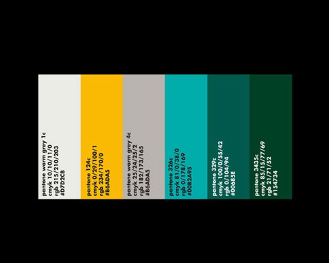 Paleta de colores que se han usado en la marca del 40 aniversario del Parlamento Vasco.
