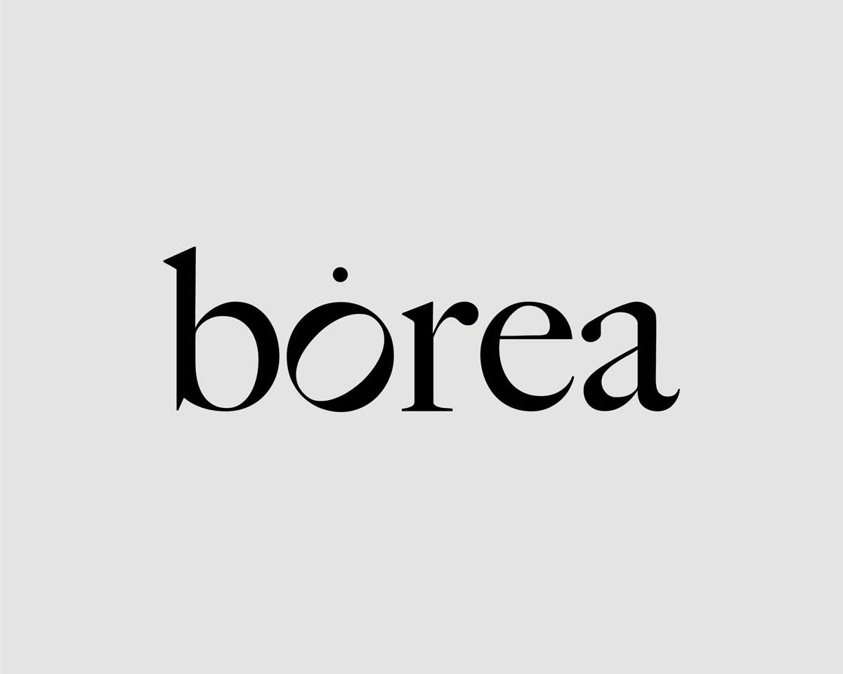 Logotipo de Bórea.